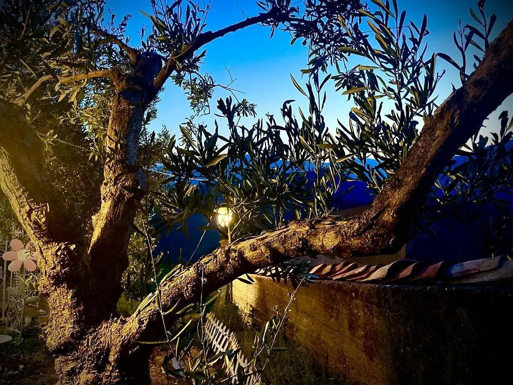 La Casina Di Venere Hotel Savoca